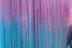 102396102_2698351706937175_2563075524058415104_o