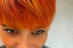 73423457_2286778834761133_3343571317688369152_n